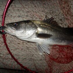 ちょっと聞いて！めちゃ嬉しい‼60・66‼‼　【20260326】